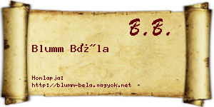Blumm Béla névjegykártya